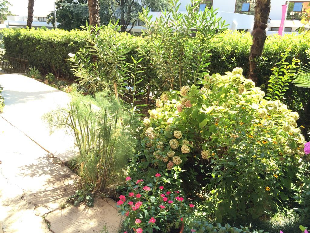 Bed & Breakfast Borka Οπατία Εξωτερικό φωτογραφία